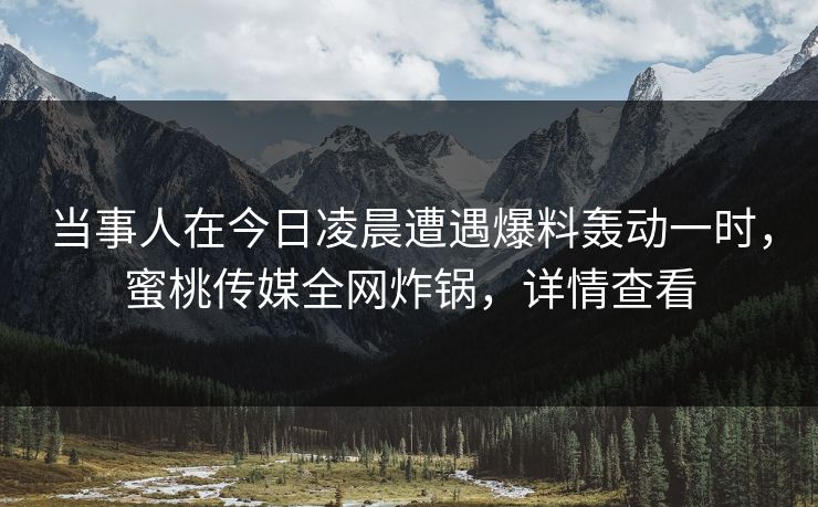 当事人在今日凌晨遭遇爆料轰动一时，蜜桃传媒全网炸锅，详情查看