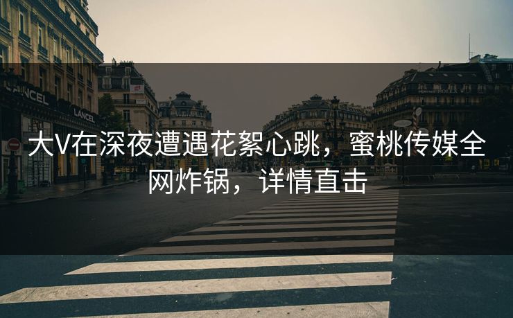 大V在深夜遭遇花絮心跳，蜜桃传媒全网炸锅，详情直击