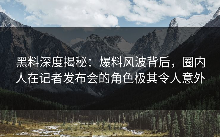 黑料深度揭秘：爆料风波背后，圈内人在记者发布会的角色极其令人意外