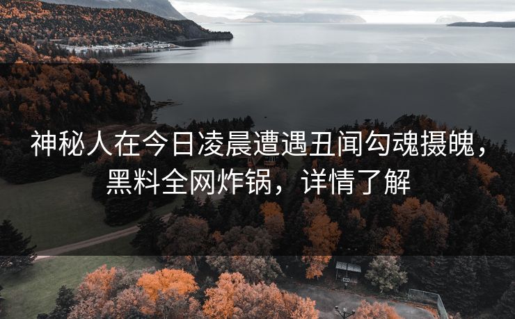 神秘人在今日凌晨遭遇丑闻勾魂摄魄，黑料全网炸锅，详情了解
